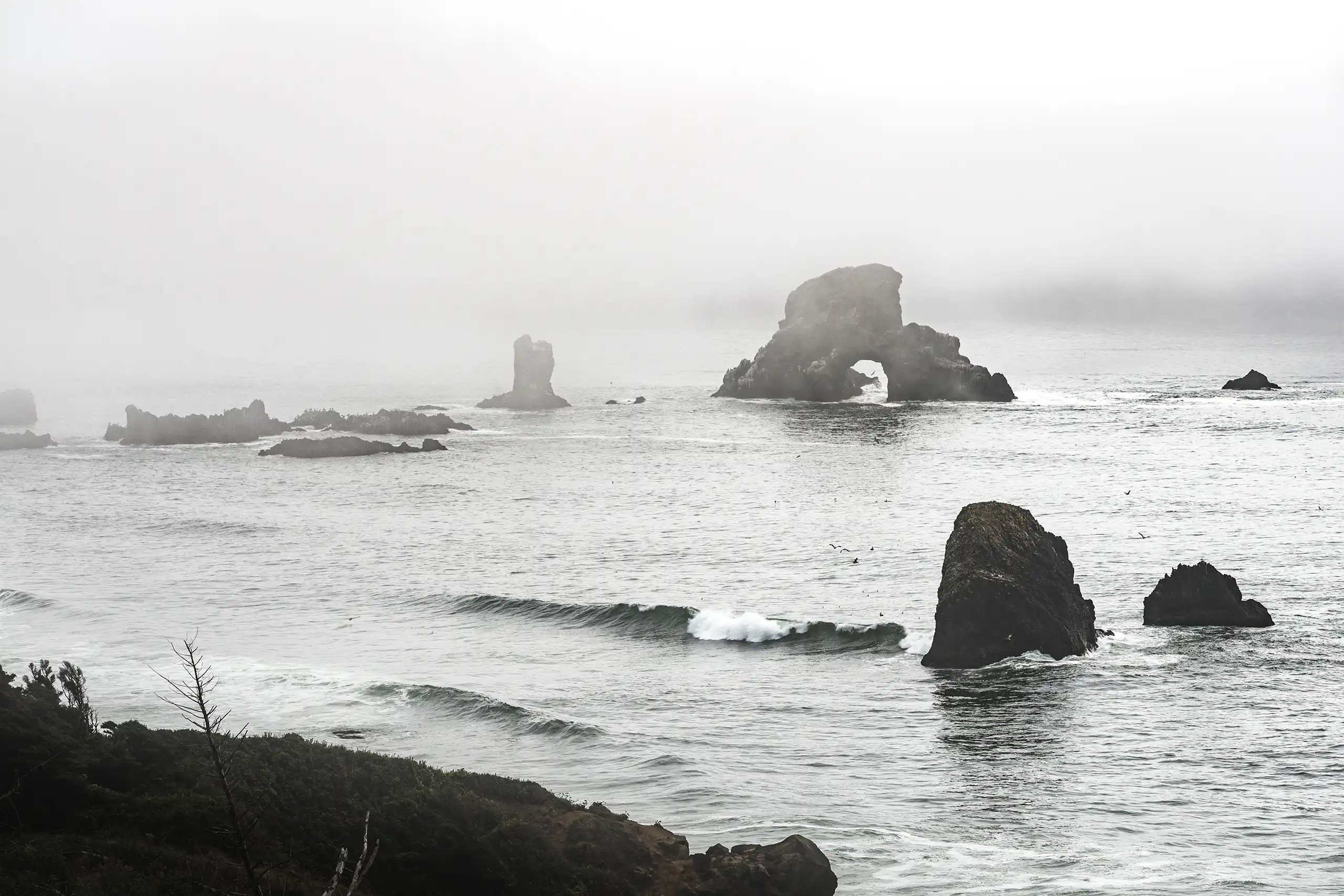 CANNON BEACH 081421