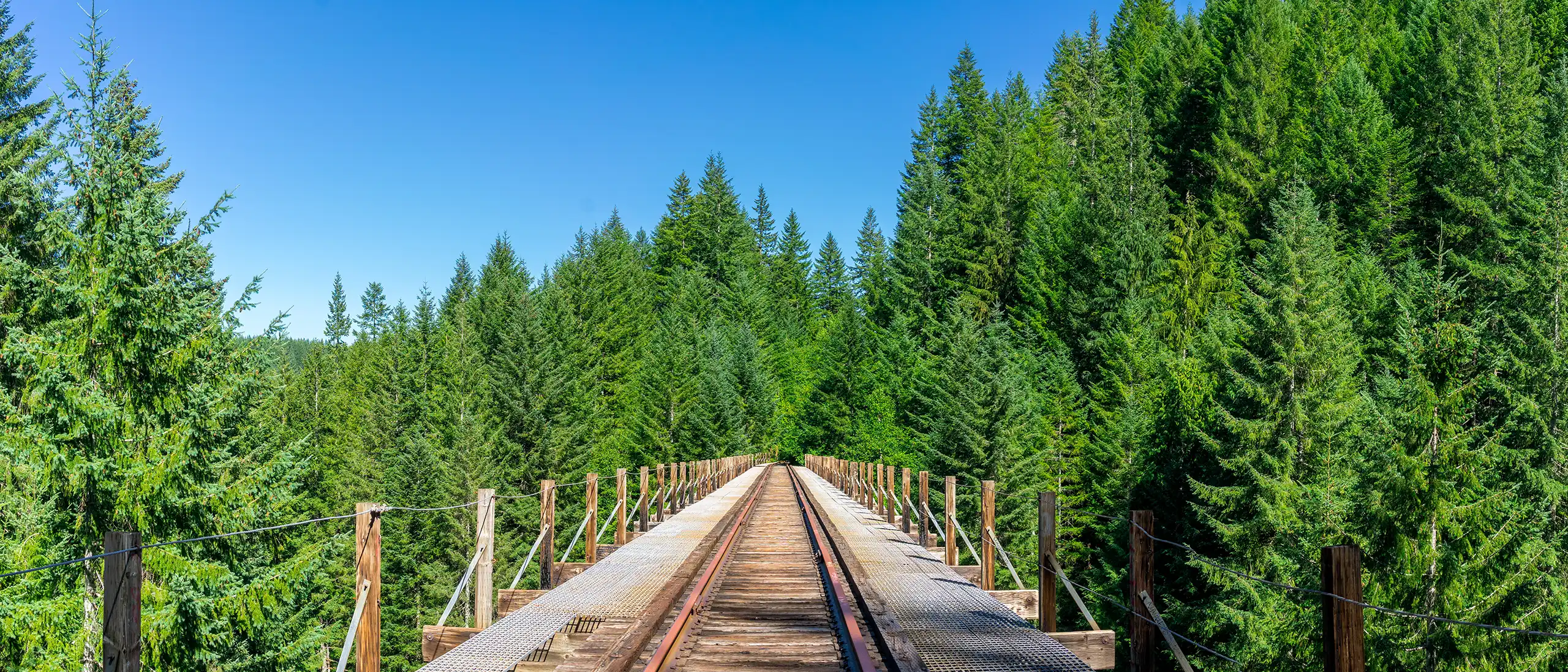 SALMONBERRY TRAIL 081422