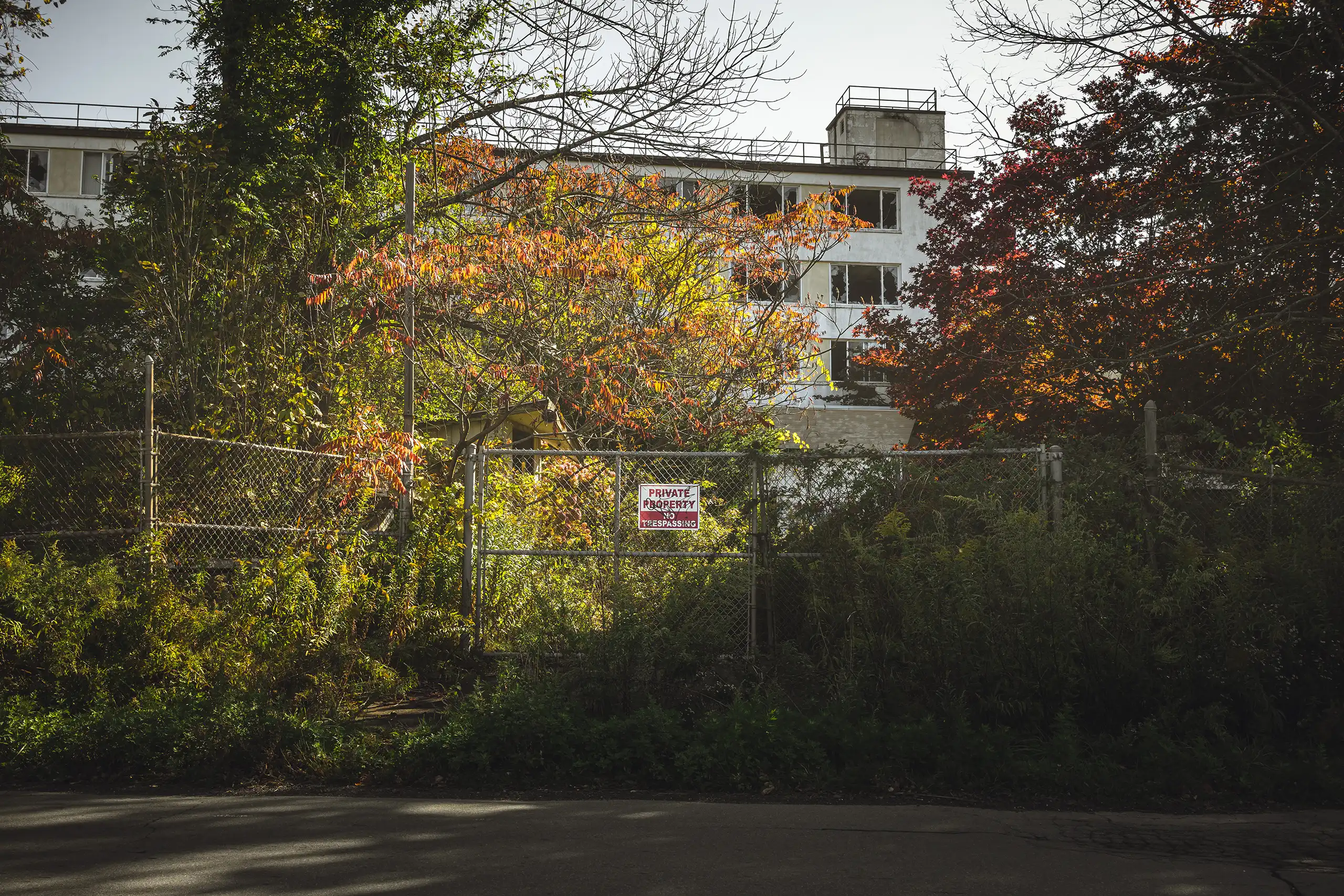 THE PINES HOTEL 100820