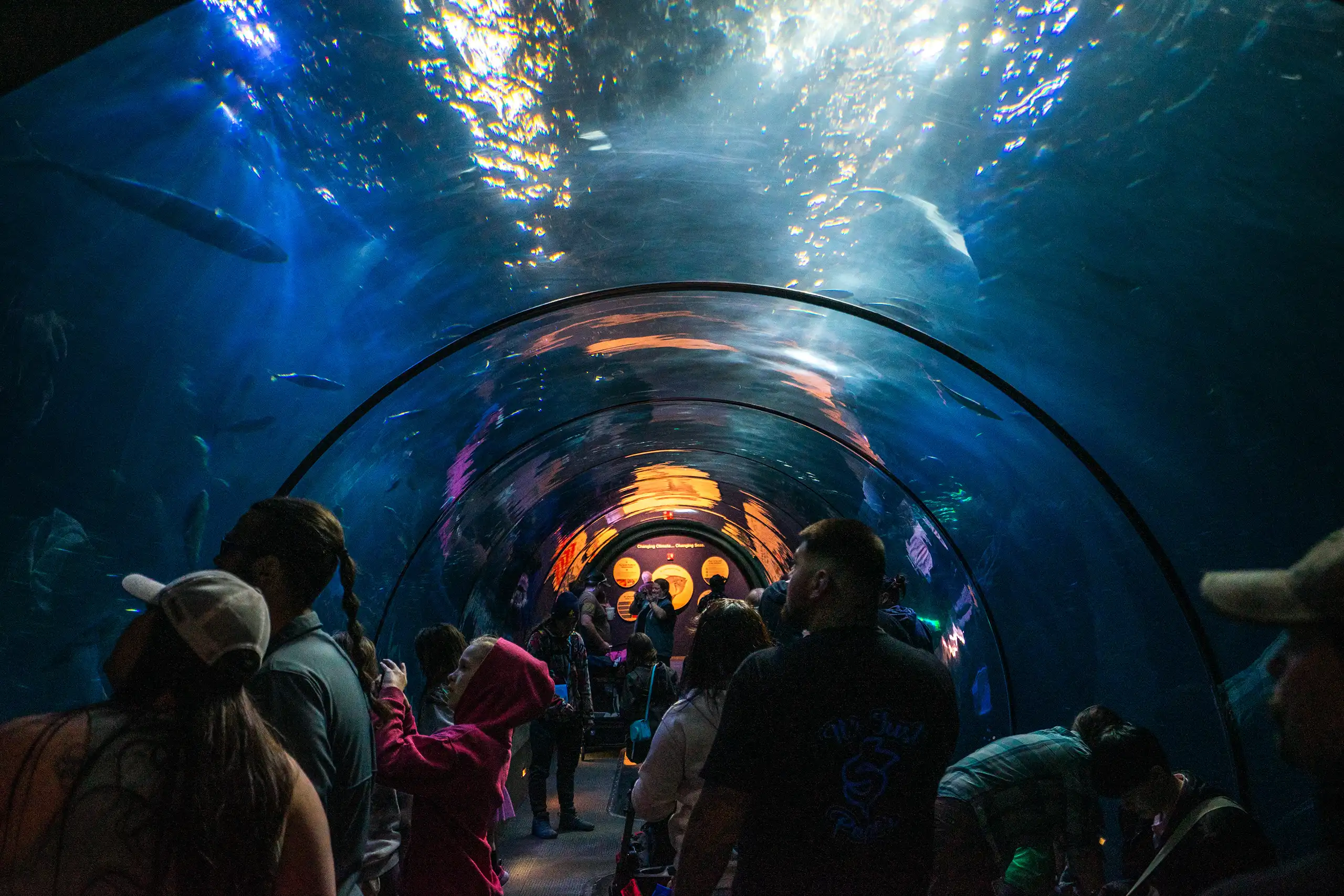 OREGON COAST AQUARIUM 033024